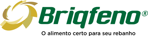 Briqfeno Logo