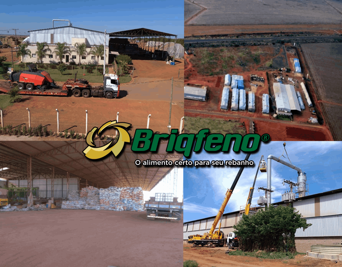 Produto Briqfeno